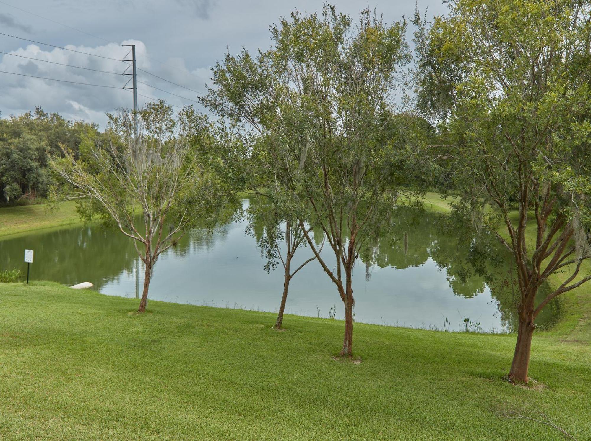 Spring Retreat Near Disney, Perfect For Families Kissimmee Ruang foto